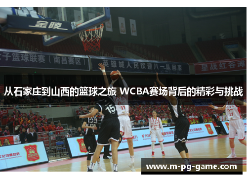 从石家庄到山西的篮球之旅 WCBA赛场背后的精彩与挑战