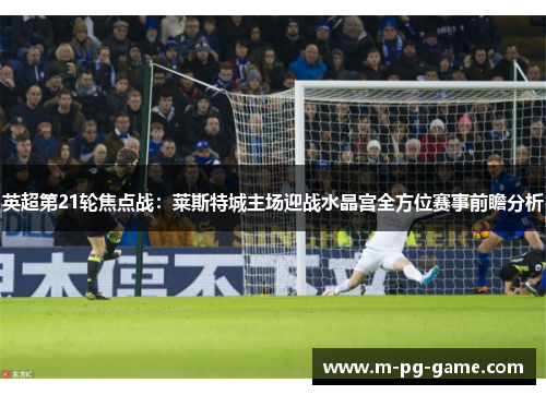 英超第21轮焦点战:莱斯特城主场迎战水晶宫全方位赛事前瞻分析 英超第21轮焦点战:莱斯特城主场迎战水晶宫全方位赛事前瞻分析