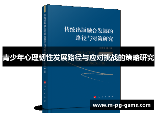 青少年心理韧性发展路径与应对挑战的策略研究 青少年心理韧性发展路径与应对挑战的策略研究